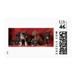 Pitbull puppy heaven stamps