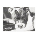 Pitbull Puppy in pencil 4 by Jacob Grimm postcards by JacobGrimm Pitbull Puppy in pencil 4 by Jacob Grimm postcards