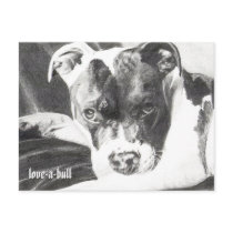 Pitbull Puppy in pencil 4 by Jacob Grimm postcards