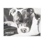 Pitbull Puppy in pencil 4 by Jacob Grimm Postcard