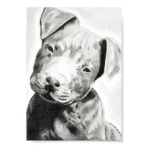 Pitbull puppy in pencil print by Jacob Grimm by JacobGrimm Pitbull puppy in pencil print by Jacob Grimm