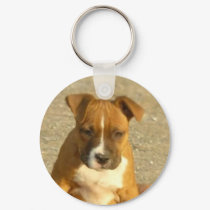 Pitbull puppy keychain