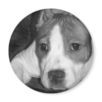 Pitbull puppy magnet by ritmoboxer Pitbull puppy magnet