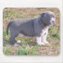 PITBULL PUPPY MOUSEPADS