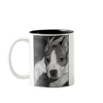 Pitbull puppy mug by ritmoboxer Pitbull puppy mug