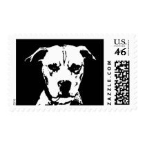 Pitbull Stamp