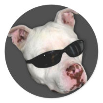 Pitbull stickers by ritmoboxer Pitbull stickers