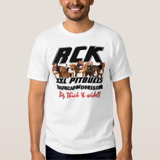 pitbull singer t shirts