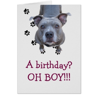 Pitbull Table Scraps Birthday Card