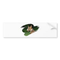 pitbull-terrier bumper stickers
