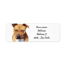 Pitbull Terrier Custom Return Address Labels