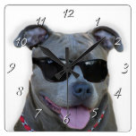 pitbull Terrier dog square clock