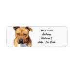 Pitbull Terrier Custom Return Address Labels