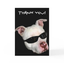 Pitbull thank you greeting card