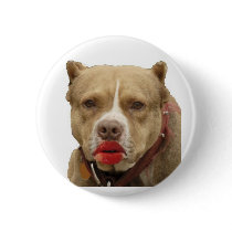 Pitbull Wearing Lipstick Button