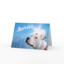 PItbull White Dog Christmas Wish cards