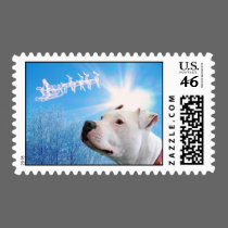 Pitbull White Dog Christmas Wish postage
