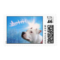Pitbull White Dog Christmas Wish postage