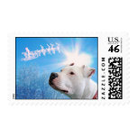 Pitbull White Dog Christmas Wish Postage Stamps