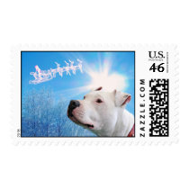 Pitbull White Dog Christmas Wish Postage Stamps