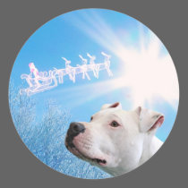 PItbull White Dog Christmas Wish stickers