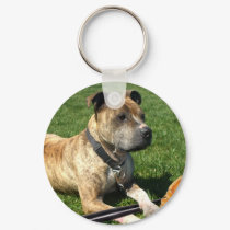 Pitbull with baseball keychains