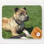 Pitbull with baseball mouse pads