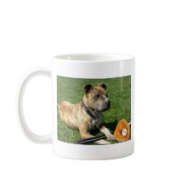 Pitbull with baseball mugs by ritmoboxer Pitbull with baseball mugs
