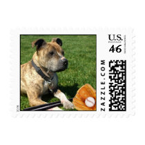 Pitbull with baseball postage by ritmoboxer Pitbull with baseball postage