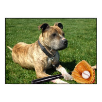 Pitbull with baseball poster posters by ritmoboxer Pitbull with baseball poster posters