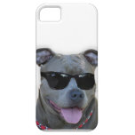 Pitbull with glasses iPhone 5 cases