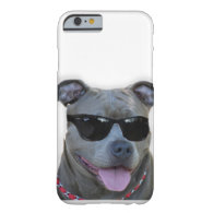 Pitbull with glasses iPhone 6 case
