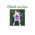 Pitbulls are love T-shirt