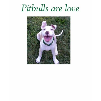 Pitbulls are love t-shirt by eclectic_design
