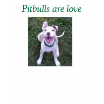 Pitbulls are love t-shirts by eclectic_design Pitbulls are love t-shirts