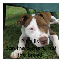 Pitbulls: Ban the owners not the breed poster posters by jessican3267 Pitbulls: Ban the owners not the breed poster posters