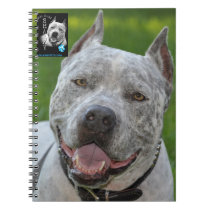 @PitBullSharky Notebook! Happy Pit Bull Smile Face notebooks
