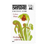 Pitcher Plant Carnivorous Plant Postage Stamp