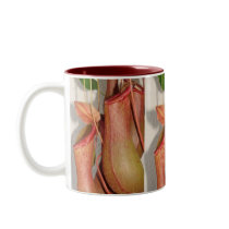 Pitcher Plant mugs