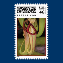 Pitcher Plant postage