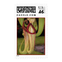 Pitcher Plant postage