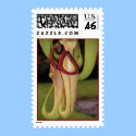 Pitcher Plant postage