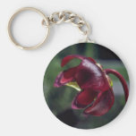 Pitcher-Plant (Sarracenia Purpurea) flowers Key Chain