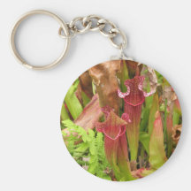 Pitcher Plants Keychains