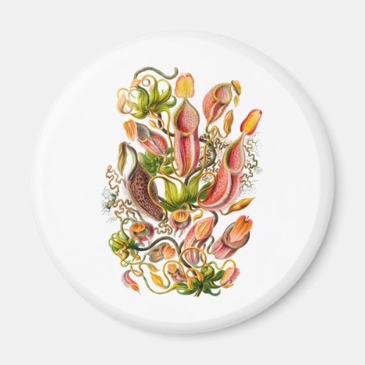 Pitcher Plants Magnet