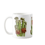 Pitcher plants mugs