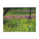 pitchfork, clover, grass, tree, landscape, country