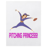 Pitching Princess flyers