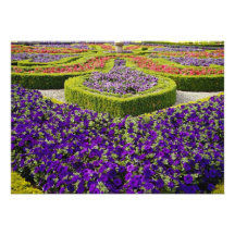 Pitmeeden gardens, Scotland flowers Personalized Invitation