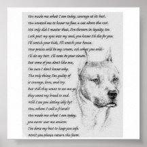 pitpoem posters